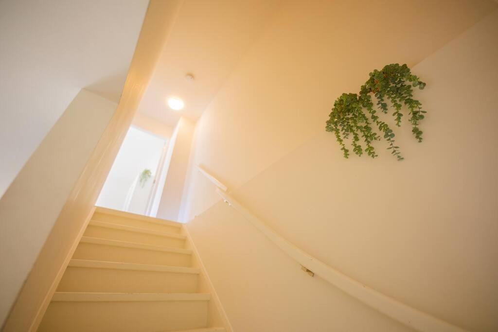 Lovely 3 Bedroom Apartment In Eindhoven 65M2 - Sd23N Exterior foto